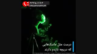 شیلد