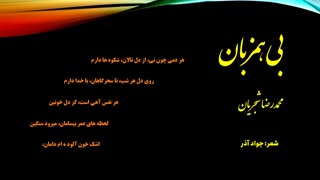 بی همزبان-به سکوت سرد زمان