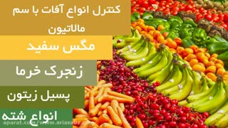 مالاتیون، بهترین حشره کش برای دفع انواع آفات | Malathion