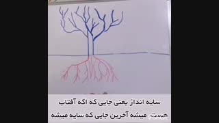 چال کود چه زمانی انجام می شود؟