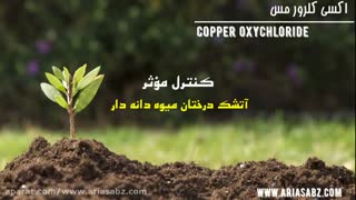 اکسی کلرور مس | Copper oxychloride سم ضد قارچ بسیار قوی