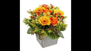 ارسال گل به فرانسه