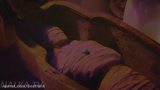 لیدی باگ در مصر