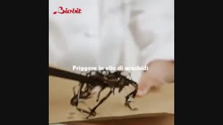 پاستا ریگاتونی پرشده با سس سبزیجات و پنیر موتزارلا