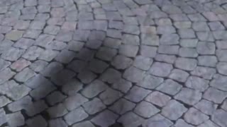 ماجراجویی در پاریس - فصل ۳ قسمت ۳