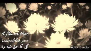 میکس با آهنگ the truth untold از bts و توضیحات