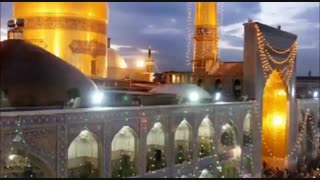 مرثیه خوانی کبوتران حرم به مناسبت رحلت پیامبر اسلام(ص) شهادت امام مجتبی(ع) و امام علی ابن موسی الرضا(ع)