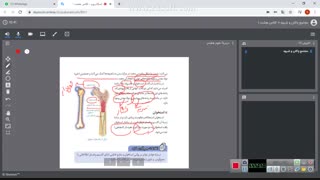قسمت دوم فصل 5  علوک هشتم (حس و حرکت) صبا ایزدیار