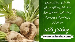 مزارع عاری از علف هرز با سم سلکت سوپر | Select Super