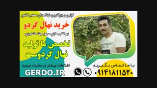 نهالستان گردو 09141811520