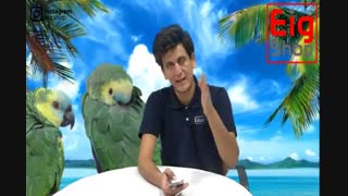 سوالات متداول در مورد جوجه کشی " بخش دوم"