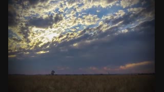 استاد غفاری ، ای کاش نگویید ...