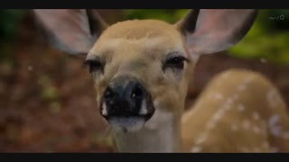 سریال Cursed نفرین شده فصل اول قسمت اول زیرنویس