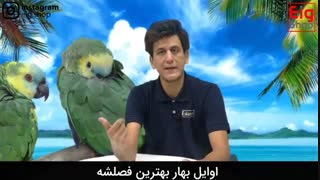 بهترین فصل برای جوجه کشی ( آموزش جوجه کشی )