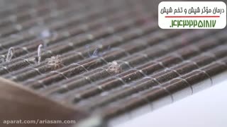 قوی ترین محصول از بین برنده شپش و تخم شپش | شامپو دی-فنوترین (D-phenotrine)