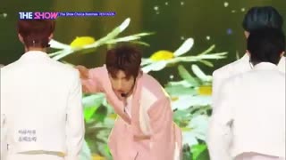 اجرای جدید از گروه پنتاگون_ Daisy