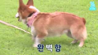 قسمت 23 برنامه ران بی تی اس ( زیرنویس فارسی ) RUN BTS ep 23