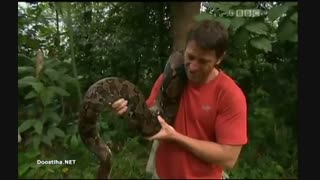 مرگ آفرینان 6 - Deadly 60