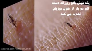 بهترین راه حل مشکل شپش چیست؟ شامپو دیفنوترین |  D-phenotrine