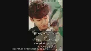 فکت های اکسو  با اهنگ tempo