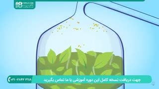 آشنایی با نوتز های مختلف در ساخت عطر های خانگی