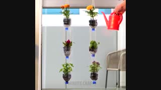 ترفندهای پرورش گیاه