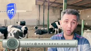 کاهش هزینه درمان دام