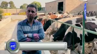 هیچ ارزانی ای بی حکمت نیست!!!