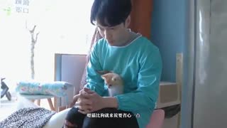 Lay و گربه های بامزه