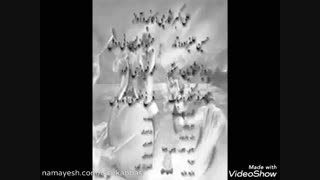 استاد علی اکبر شکارچی، ازآنروزی که مو یادوم میآیه