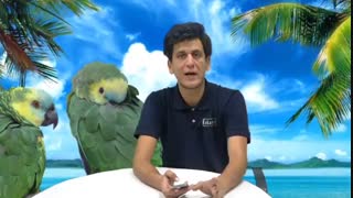 سوالات متداول در مورد دستگاه جوجه کشی ( بخش دوم)