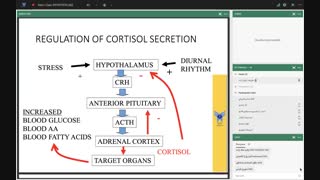جلسه ی اول مقدمات بیماری های غدد