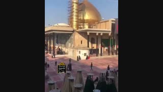 شهادت امام حسن عسکری (ع) را به ساحت مقدس مولایمان امام مهدی (عج) و شیعیان ایشان تسلیت عرض می کنیم.