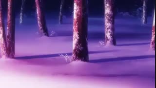 انیمه عروس جادوگر قسمت 18 زیرنویس فارسی