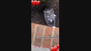 ⁦:-)⁩⁦:-)⁩⁦:-)⁩⁦:-)⁩خخخخخخ