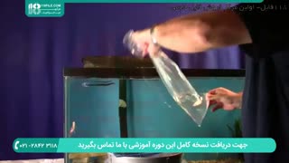 آشنایی با نحوه ی سازگار کردن ماهی با محیط آکواریوم
