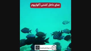 نمای داخلی کشتی آکواریوم کیش