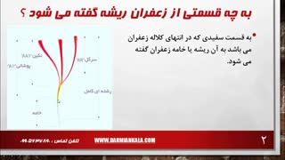 ریشه زعفران چیست و چه کاربردهایی دارد ؟