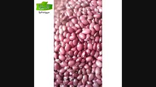 فروش لوبیا قرمز زنجان