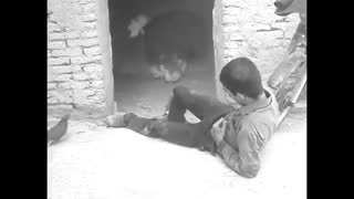 تله فیلم کاکلی1