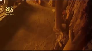 والا محمدﷺ عصب‌کشی
