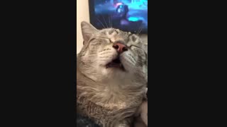 حوصلم.......=_______________=