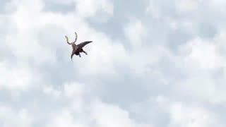 انیمه سریالی آی دی / درگیری ،قسمت پنجم ،  زیرنویس پارسی