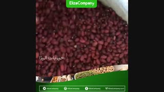 فروش انواع لوبیا قرمز