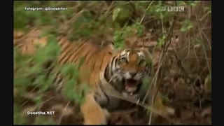 مرگ آفرینان 9 - Deadly 60