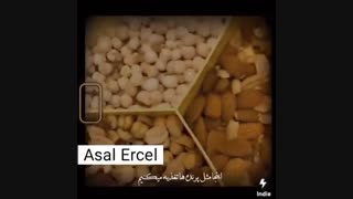 اولیـن و صـآحب اصـلـیـے هآنده ارچـل عستـم^•^کپشـن سو مآی کوییـن!~