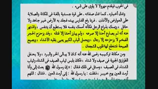 به اعتراف عالم اهل سنت در جنگها قلب شجاعان عرب با نعره امیرالمومنین از جا کنده می شد