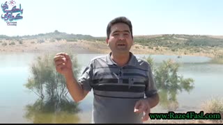 چگونه ترس باعث غرق شدن ما در گرداب این عالم می شود؟