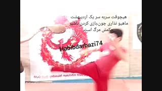 Habibdarbazi74