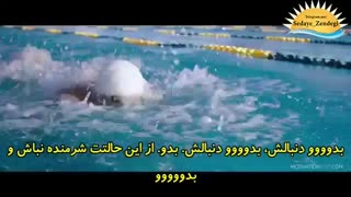 معمولی نباش بدددو دنبال سرنوشتت انگیزشی